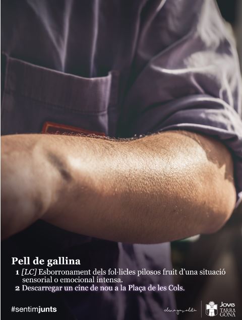 pell de gallina